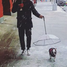 Dog Umbrella with Leash Snow-Proof Rain Proof Windproof