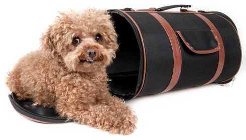 Airline Approved Pet Carrier