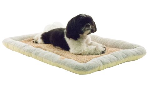 Anti-Bacterial Neutral Carpentry Designer Dog Bed