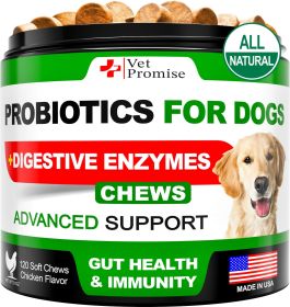 Probiotics for Dogs Digestive Enzymes