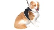 NEW Dog Tracker Device Collar Mount Size:M