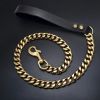 Plated Golden Dogs Leash with Collar Suit