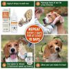 Natural Ear Mite Treatment for Dogs