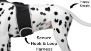 Wireless Tracking w/ Pet Tracker Realtime GPS Size:M