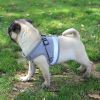 Pet Universal Harness with Leash Set
