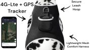 Affordable Mini Realtime GSM GPS GPRS  Size:M