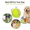 Pet Tennis Ball for Small Dogs