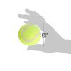 Pet Tennis Ball for Small Dogs