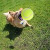 Pet Tennis Ball for Small Dogs