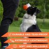 Floating Outdoor Barbell Dog Toy