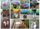 Dog Umbrella with Leash Snow-Proof Rain Proof Windproof