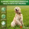 Probiotics for Dogs Digestive Enzymes