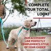 Waterproof Dog Leash