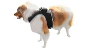 Mini Rechargeable Dog Tracking Device Size:M
