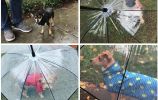 Dog Umbrella with Leash Snow-Proof Rain Proof Windproof