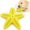 Sea Star Shaped Dog Toothbrush