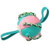 Dog Foldable  Soccer Ball