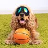 Dog Goggles for Small Breed Dog