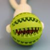 Pet Tooth Cleaning Bite Resistant Toy Ball