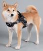 Dog Helios 'Scorpion' Dog Harness